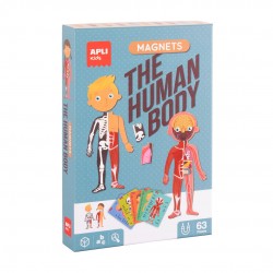 THE HUMAN BODY MAGNETS GAME
