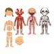 THE HUMAN BODY MAGNETS GAME