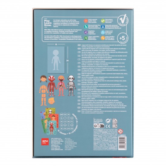 THE HUMAN BODY MAGNETS GAME