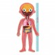 THE HUMAN BODY PUZZLES