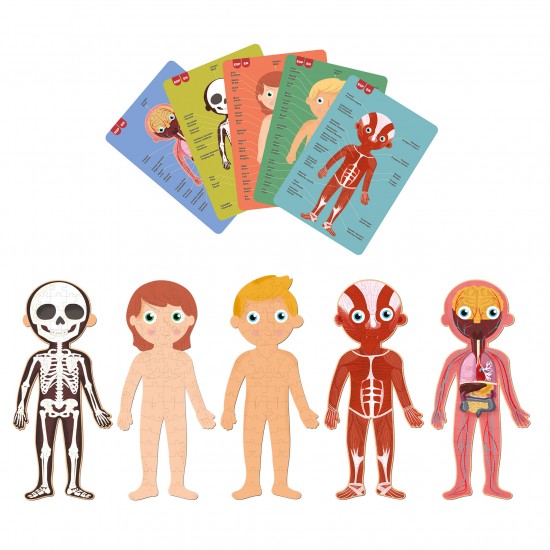 THE HUMAN BODY PUZZLES