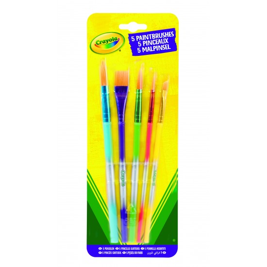 5 PAINT BRUSHES