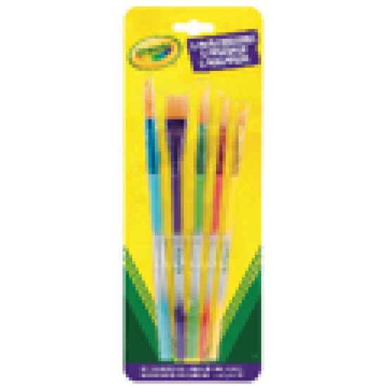 5 PAINT BRUSHES