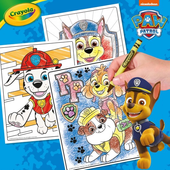 PAW PATROL CREATIVITY KIT