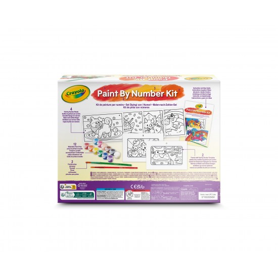 PAINT BY NUMBER KIT