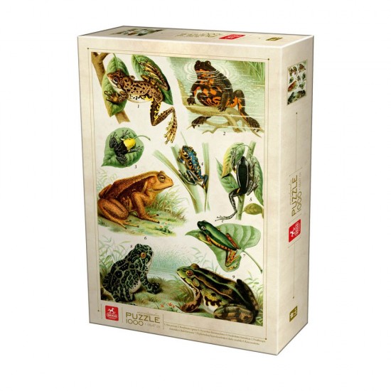 PUZZLE 1000 ENCYCLOPEDIA - FROGS